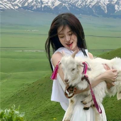 极地反击